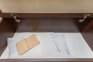 javakhishvili1 javakhishvili1