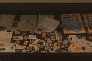 tsereteli15 tsereteli15