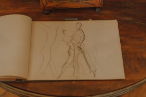 chabukiani21 chabukiani21