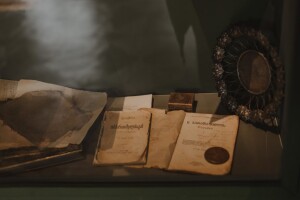 baratashvili15 baratashvili15