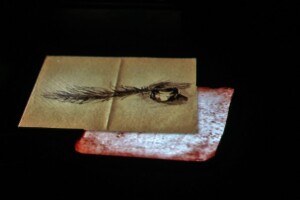 baratashvili3 baratashvili3