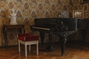 chabukiani19 chabukiani19